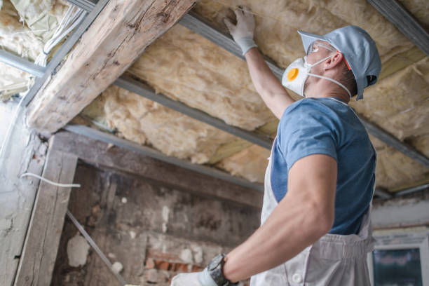 Best Local Insulation Services  in Harvey, LA